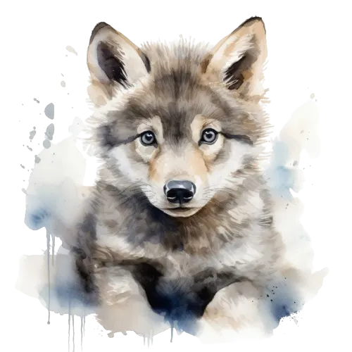 Praxis für Kinder- und Jugendmedizin Gallin - Tierfoto Wolf
